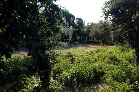 Byhus i Ponte de Sor, Portalegre, Ponte de Sor - € 192.000 | Ref: 053404 - foto 15