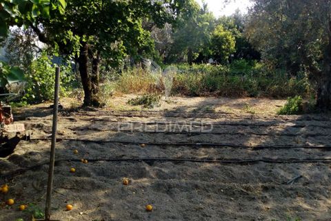 Byhus i Ponte de Sor, Portalegre, Ponte de Sor - € 192.000 | Ref: 053404 - foto 16
