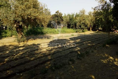 Byhus i Ponte de Sor, Portalegre, Ponte de Sor - € 192.000 | Ref: 053404 - foto 18