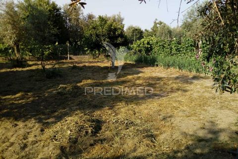 Byhus i Ponte de Sor, Portalegre, Ponte de Sor - € 192.000 | Ref: 053404 - foto 21