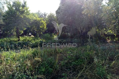 Byhus i Ponte de Sor, Portalegre, Ponte de Sor - € 192.000 | Ref: 053404 - foto 23