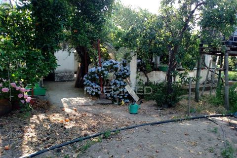 Byhus i Ponte de Sor, Portalegre, Ponte de Sor - € 192.000 | Ref: 053404 - foto 24