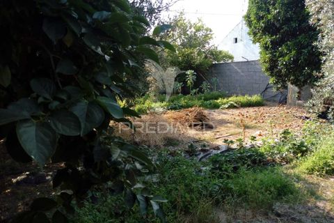 Byhus i Ponte de Sor, Portalegre, Ponte de Sor - € 192.000 | Ref: 053404 - foto 26