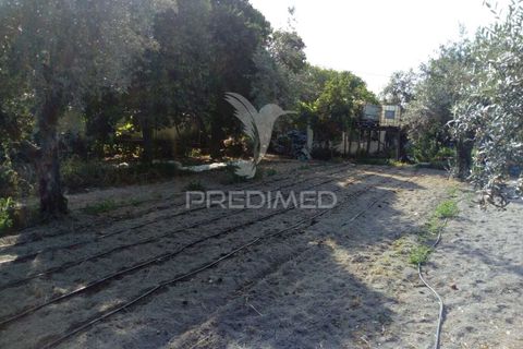 Byhus i Ponte de Sor, Portalegre, Ponte de Sor - € 192.000 | Ref: 053404 - foto 29