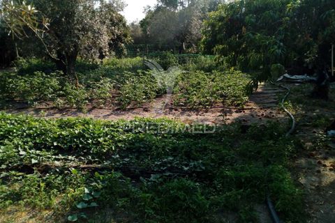 Byhus i Ponte de Sor, Portalegre, Ponte de Sor - € 192.000 | Ref: 053404 - foto 31