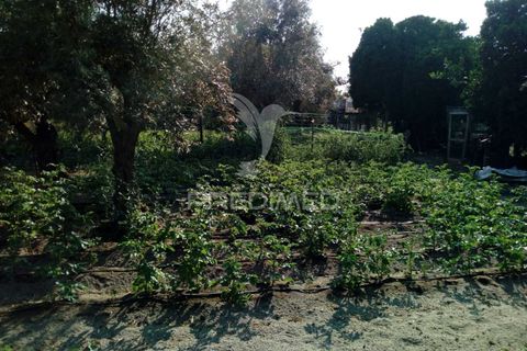 Byhus i Ponte de Sor, Portalegre, Ponte de Sor - € 192.000 | Ref: 053404 - foto 33