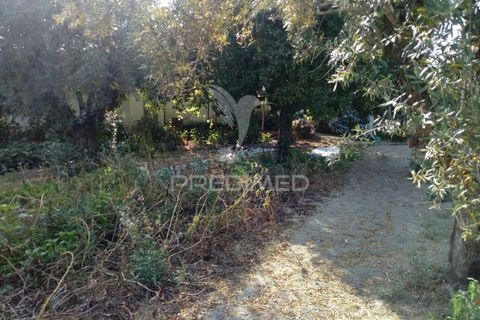 Byhus i Ponte de Sor, Portalegre, Ponte de Sor - € 192.000 | Ref: 053404 - foto 34