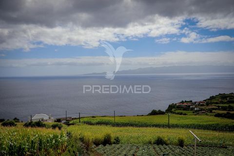 Byhus i Calheta, Sao Jorge, Calheta - € 420.000 | Ref: 053447 - foto 31
