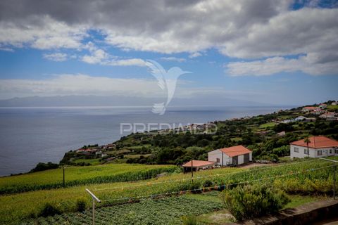 Byhus i Calheta, Sao Jorge, Calheta - € 420.000 | Ref: 053447 - foto 32