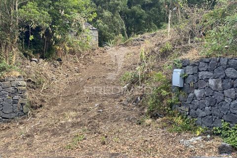 Helårsgrund i Velas, Sao Jorge, Velas - € 73.000 | Ref: 053669 - foto 2