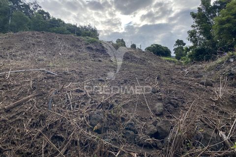 Helårsgrund i Velas, Sao Jorge, Velas - € 73.000 | Ref: 053669 - foto 5