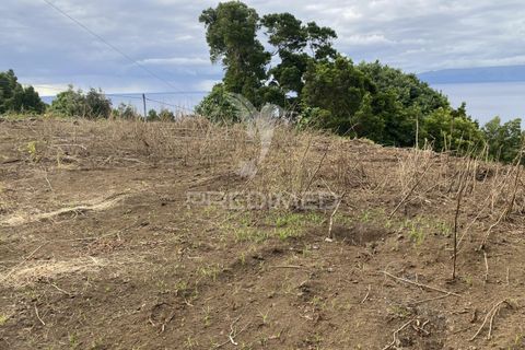 Helårsgrund i Velas, Sao Jorge, Velas - € 73.000 | Ref: 053669 - foto 9