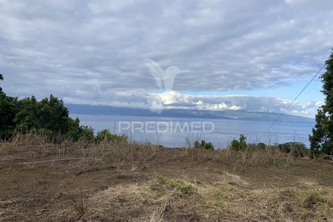 Helårsgrund i Velas, Sao Jorge, Velas - € 73.000 | Ref: 053669 - foto 13