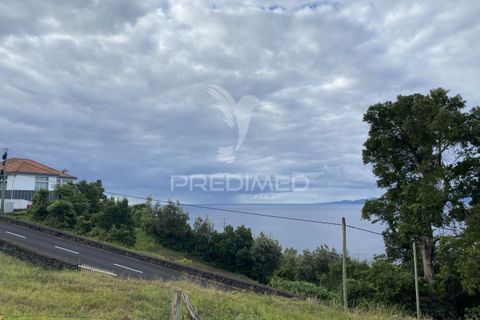 Helårsgrund i Velas, Sao Jorge, Velas - € 73.000 | Ref: 053669 - foto 14