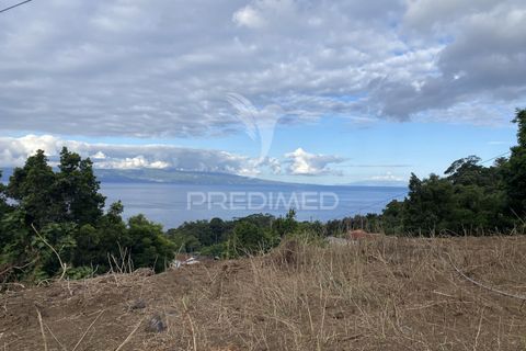 Helårsgrund i Velas, Sao Jorge, Velas - € 73.000 | Ref: 053669 - foto 15