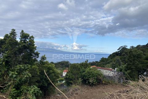Helårsgrund i Velas, Sao Jorge, Velas - € 73.000 | Ref: 053669 - foto 17