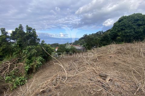 Helårsgrund i Velas, Sao Jorge, Velas - € 73.000 | Ref: 053669 - foto 20