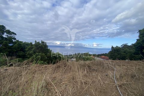Helårsgrund i Velas, Sao Jorge, Velas - € 73.000 | Ref: 053669 - foto 21