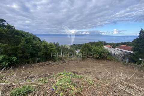 Helårsgrund i Velas, Sao Jorge, Velas - € 73.000 | Ref: 053669 - foto 22