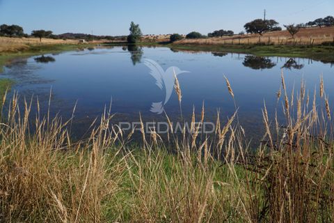Farm hus i Alandroal, Evora, Alandroal - € 399.000 | Ref: 053979 - foto 1