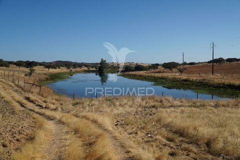 Farm hus i Alandroal, Evora, Alandroal - € 399.000 | Ref: 053979 - foto 2