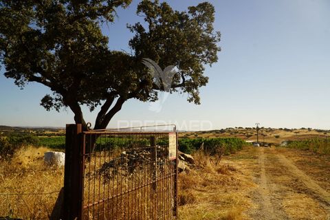 Farm hus i Alandroal, Evora, Alandroal - € 399.000 | Ref: 053979 - foto 3