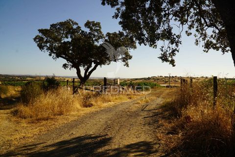 Farm hus i Alandroal, Evora, Alandroal - € 399.000 | Ref: 053979 - foto 4