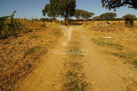 Farm hus i Alandroal, Evora, Alandroal - € 399.000 | Ref: 053979 - foto 5