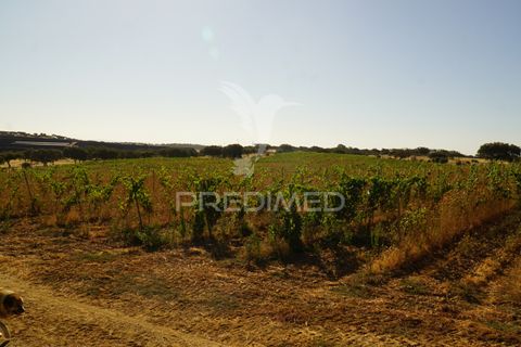 Farm hus i Alandroal, Evora, Alandroal - € 399.000 | Ref: 053979 - foto 9