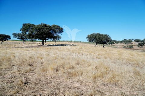 Farm hus i Alandroal, Evora, Alandroal - € 399.000 | Ref: 053979 - foto 20