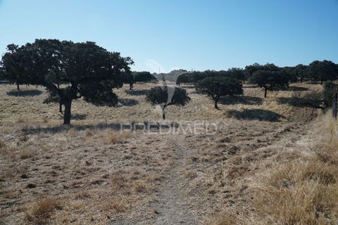 Farm hus i Alandroal, Evora, Alandroal - € 399.000 | Ref: 053979 - foto 21
