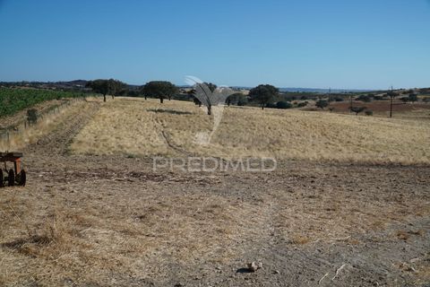 Farm hus i Alandroal, Evora, Alandroal - € 399.000 | Ref: 053979 - foto 22