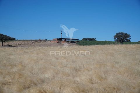 Farm hus i Alandroal, Evora, Alandroal - € 399.000 | Ref: 053979 - foto 23