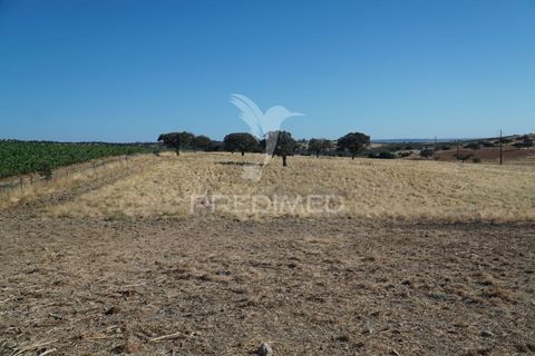 Farm hus i Alandroal, Evora, Alandroal - € 399.000 | Ref: 053979 - foto 25