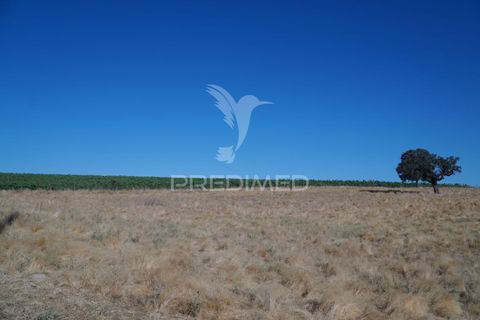 Farm hus i Alandroal, Evora, Alandroal - € 399.000 | Ref: 053979 - foto 27