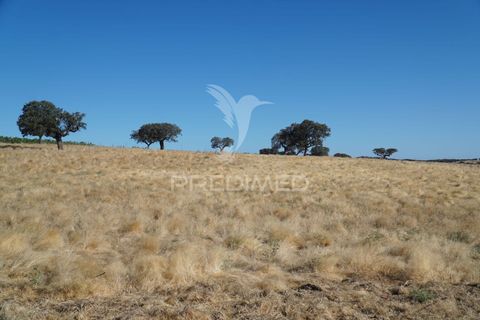 Farm hus i Alandroal, Evora, Alandroal - € 399.000 | Ref: 053979 - foto 28