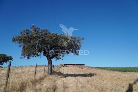Farm hus i Alandroal, Evora, Alandroal - € 399.000 | Ref: 053979 - foto 29