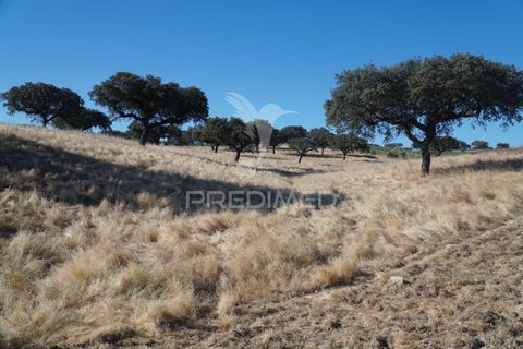 Farm hus i Alandroal, Evora, Alandroal - € 399.000 | Ref: 053979 - foto 30