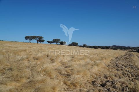 Farm hus i Alandroal, Evora, Alandroal - € 399.000 | Ref: 053979 - foto 31