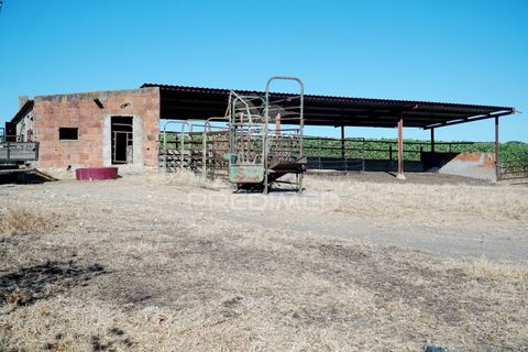 Farm hus i Alandroal, Evora, Alandroal - € 399.000 | Ref: 053979 - foto 33