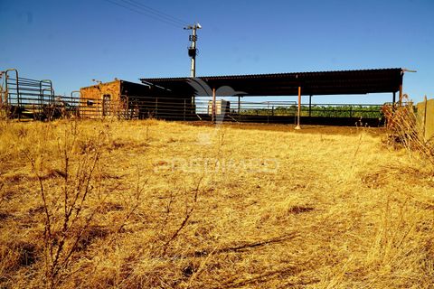 Farm hus i Alandroal, Evora, Alandroal - € 399.000 | Ref: 053979 - foto 34