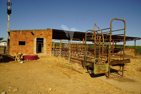 Farm hus i Alandroal, Evora, Alandroal - € 399.000 | Ref: 053979 - foto 35
