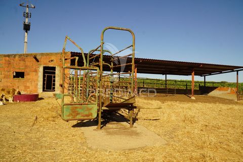 Farm hus i Alandroal, Evora, Alandroal - € 399.000 | Ref: 053979 - foto 36
