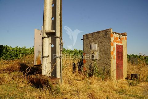 Farm hus i Alandroal, Evora, Alandroal - € 399.000 | Ref: 053979 - foto 38