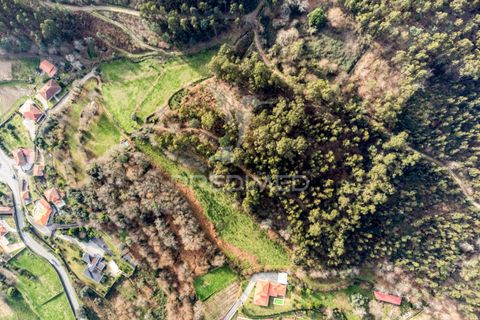 Helårsgrund i Vila Verde, Braga, Vila Verde - € 65.000 | Ref: 054004 - foto 2
