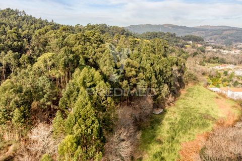 Helårsgrund i Vila Verde, Braga, Vila Verde - € 65.000 | Ref: 054004 - foto 3