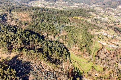 Helårsgrund i Vila Verde, Braga, Vila Verde - € 65.000 | Ref: 054004 - foto 5