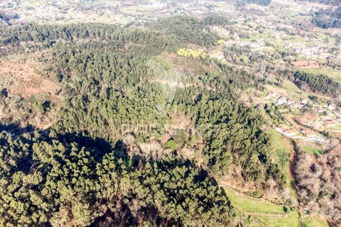 Helårsgrund i Vila Verde, Braga, Vila Verde - € 65.000 | Ref: 054004 - foto 6