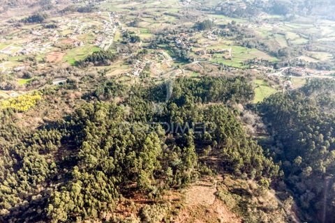 Helårsgrund i Vila Verde, Braga, Vila Verde - € 65.000 | Ref: 054004 - foto 9