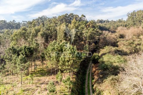 Helårsgrund i Vila Verde, Braga, Vila Verde - € 65.000 | Ref: 054004 - foto 12
